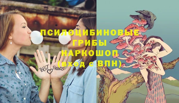 бутират Алзамай