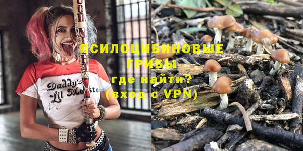 мет Алексин